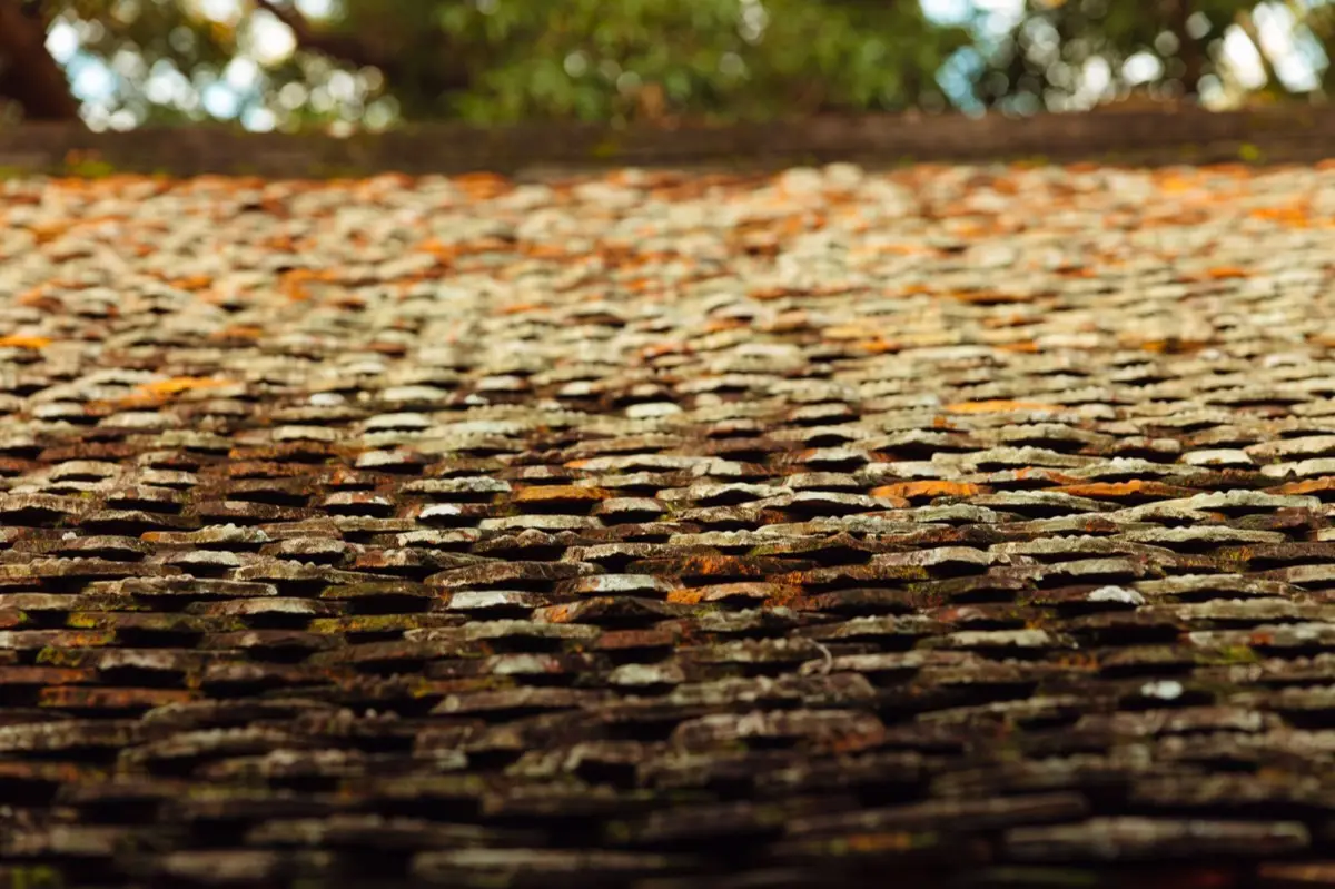 Aging shingle roof with moss growth and granule loss in Gastonia, NC